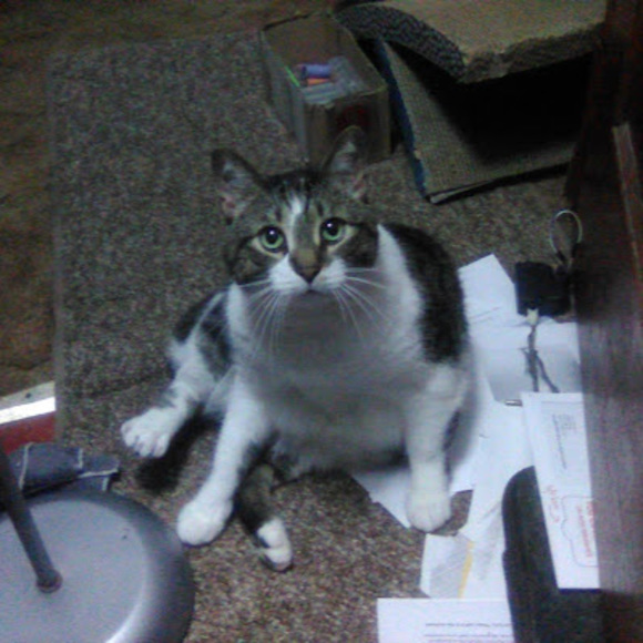 Meet your Posher, Aceprowler - Picture 1 of 1